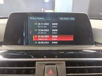 Foto de detalhe