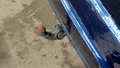 View of trailer tow-bar hitch