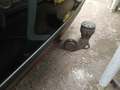 View of trailer tow-bar hitch