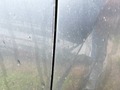 Detail photo