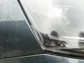 Detail photo