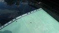 Detail photo