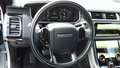 View of steering wheel