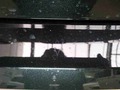 Detail photo