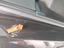 Right rear door