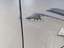 Right mudguard
