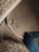 Carpeted floor