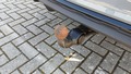 View of trailer tow-bar hitch