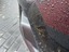 Front left bumper