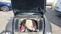 View of engine compartment