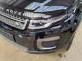 Left view of headlights