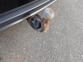 View of trailer tow-bar hitch