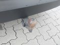 Ansicht Anhängerkupplung
