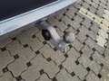 Ansicht Anhängerkupplung
