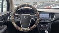 View of steering wheel