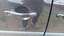 Right rear door
