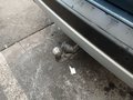 View of trailer tow-bar hitch