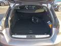 View of boot / luggage space