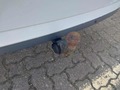 View of trailer tow-bar hitch