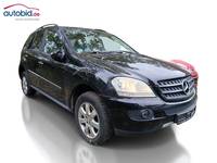 Vaizdas iš priekio dešinės