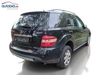 Vaizdas iš galo dešinės