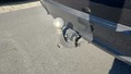 View of trailer tow-bar hitch