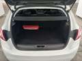 View of boot / luggage space