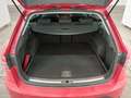 View of boot / luggage space