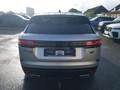 Rear view