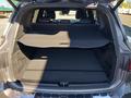 View of boot / luggage space