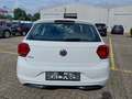 Rear view