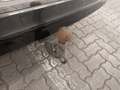 View of trailer tow-bar hitch
