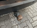 View of trailer tow-bar hitch