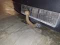 View of trailer tow-bar hitch
