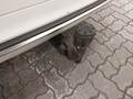 View of trailer tow-bar hitch