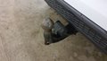 View of trailer tow-bar hitch