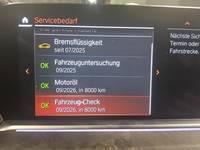 Szczegółowe zdjęcie