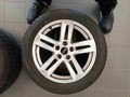 Detailní foto