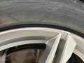 Detailní foto