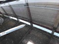 Detailní foto
