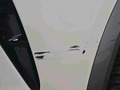 Detailní foto