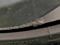 Detailní foto