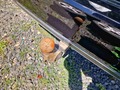 Detailní foto
