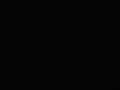 Detailní foto