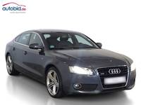 Vaizdas iš priekio dešinės