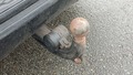 View of trailer tow-bar hitch