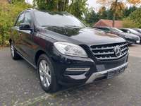 Vaizdas iš priekio dešinės