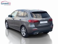 Vista posteriore sinistra