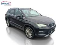 Vaizdas iš priekio dešinės