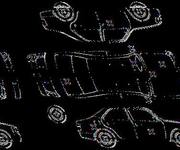 Detalizēta fotogrāfija